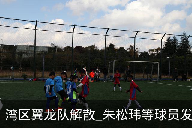 湾区翼龙队解散 朱松玮等球员发布声明维权